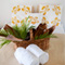 Makaha Rental Property Interior